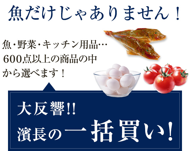 魚だけじゃない