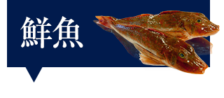 鮮魚