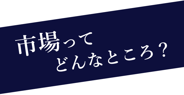 市場ってどんなところ？